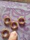 Латунные круглые застежки для подвесок «сделай сам», 4 шт., 15 мм, 20 мм, 24 к, золотистого цвета, фурнитура для изготовления ювелирных изделий