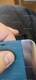 Магнитный кожаный чехол для Xiaomi Mi 11T 10T 11 10 POCO F3 M3 M4 X3 X4 NFC Redmi Note 8 8T 9 9T 9S 9A 9C 10 11 Pro Max, флип-чехол