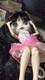 ICY DBS Blyth Заводская кукла Подходит для одетья своими руками DIY Изменение 1/6 BJD Игрушка специальная цена OB24b шаровой шарнир