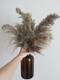 Сухой травяной декор пампас, сухих пампасной травы Декор Свадебный букет н,пушистый, высокий 20-22 дюйма, компоновка свадебных цветов, натуральный букет для домашних рождественских украшений вазы