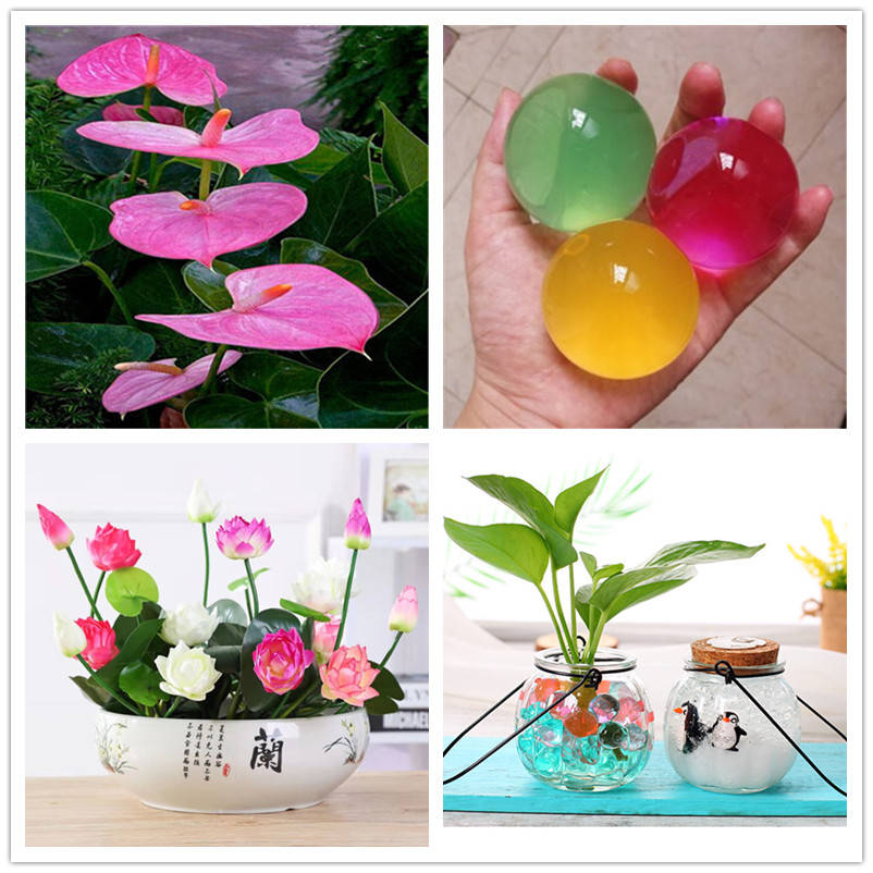 100 шт VIP Рождественский подарок большой MAC хрустальный шар растения цветы в горшках бонсай питательная почва, лотос, красная Пальма Роза водяная Лилия