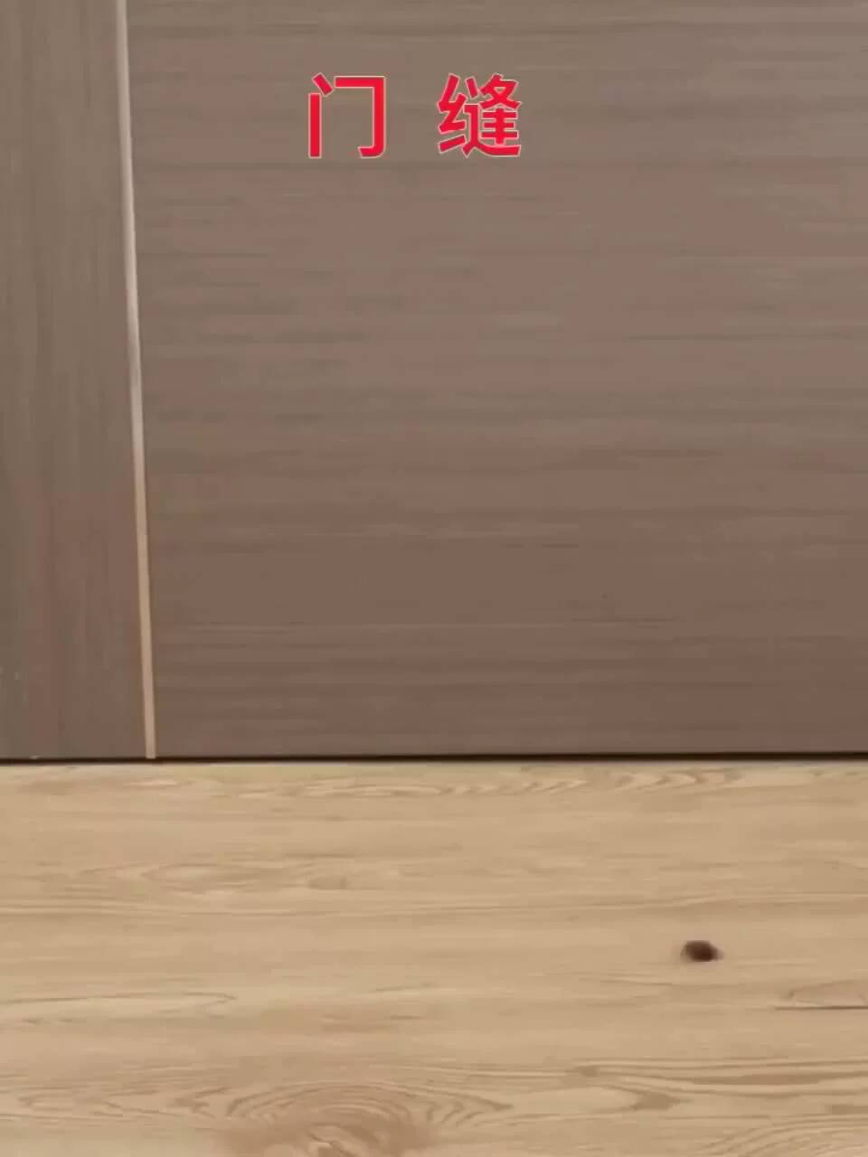 Гибкая уплотнительная лента для нижней части двери, звуконепроницаемая нижняя дверь, пробка для предотвращения попадания пыли и погодных условий, с 3-сантиметровой пеной